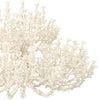 Palecek Lighting Default Title / Motor Freight - Rate TBQ Palecek Seychelles Coco Chandelier
