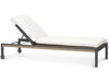 Palecek Furniture I/O SAILCLOTH SALT 64 / Motor Freight - Rate TBQ Palecek Somerset Outdoor Chaise Lounge Chair, Charcoal