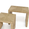 Palecek Furniture Palecek Woodside Nesting Table Set Of 2, Natural