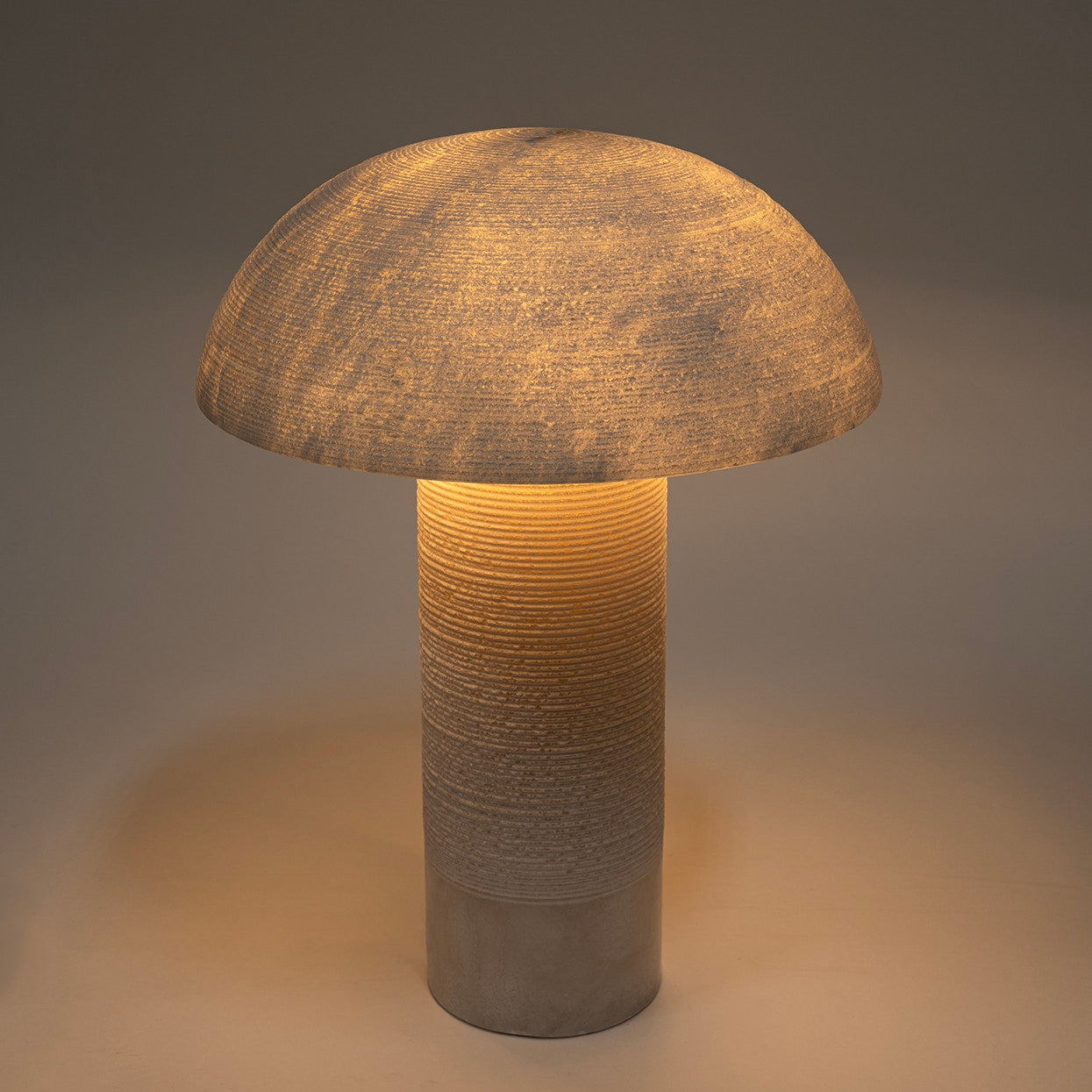 Palecek Lighting Palecek Zana Table Lamp