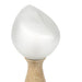 Palecek Lighting Palecek Zevi Table Lamp