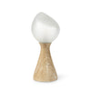 Palecek Lighting Palecek Zevi Table Lamp