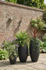 Phillips Collection Home Decor Phillips Collection Aera Planter, Black, Medium