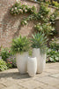 Phillips Collection Home Decor Phillips Collection Aera Planter, Off White, Small