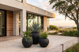 Phillips Collection Home Decor Phillips Collection Aera Planter Wide, Black, Small