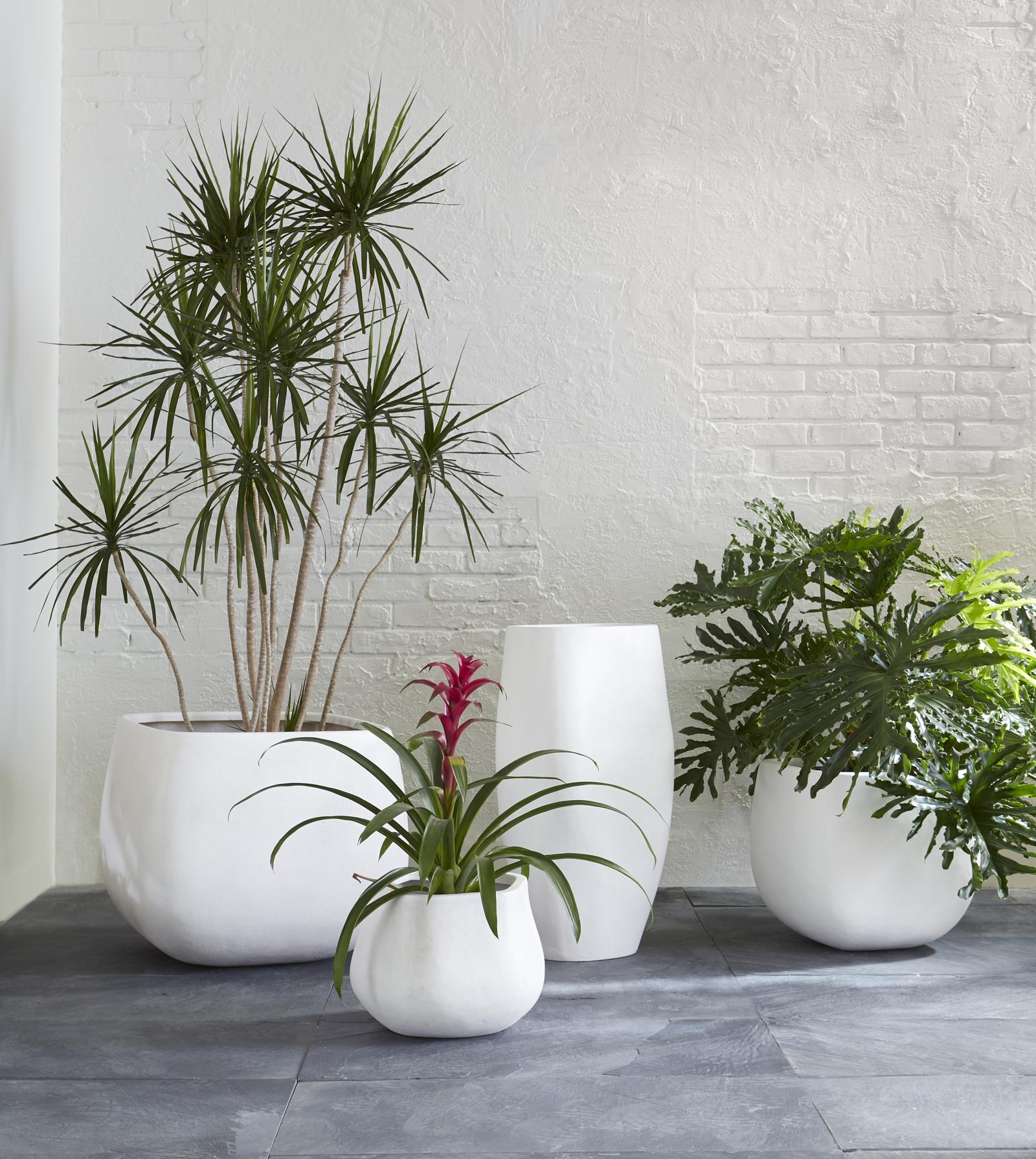 Phillips Collection Home Decor Phillips Collection Amorphous Planter, Large, White