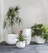 Phillips Collection Home Decor Phillips Collection Amorphous Planter, Large, White