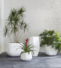 Phillips Collection Home Decor Phillips Collection Amorphous Planter, Large, White