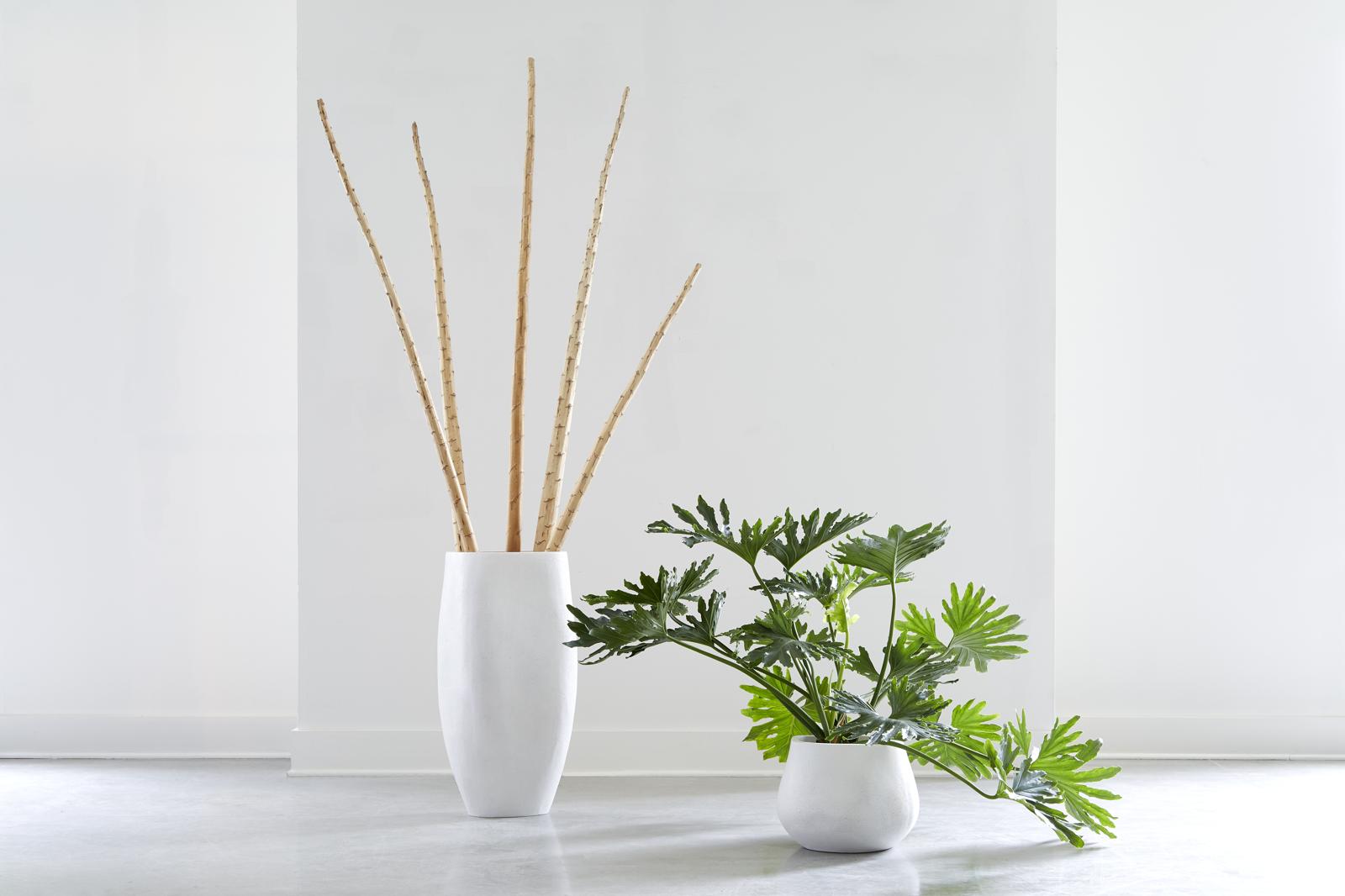 Phillips Collection Home Decor Phillips Collection Amorphous Planter, Large, White