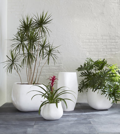 Phillips Collection Home Phillips Collection Ava Planter, Small, White