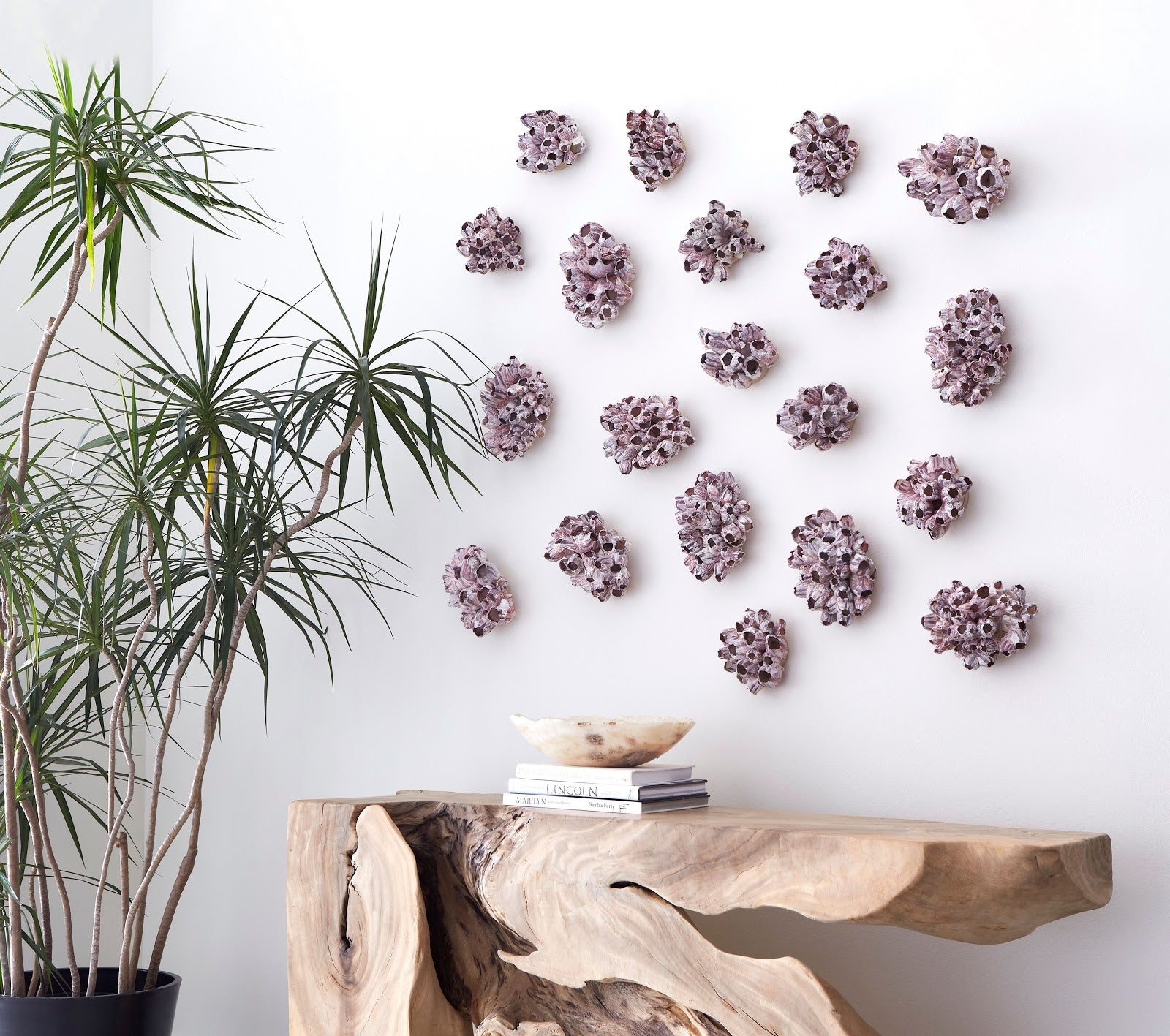 Phillips Collection Home Phillips Collection Barnacle Cluster Wall Art, LG