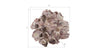 Phillips Collection Home Phillips Collection Barnacle Cluster Wall Art, LG