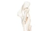 Phillips Collection Home Decor Phillips Collection Cast Dancing Sculpture, Coupé, Faux Bleached
