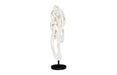 Phillips Collection Home Decor Phillips Collection Cast Dancing Sculpture, Passé, Faux Bleached