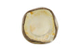 Phillips Collection Home Decor Phillips Collection Cast Onyx Bowl, White Cloud