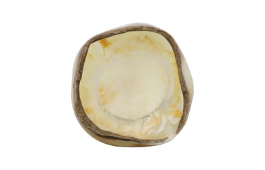 Phillips Collection Home Decor Phillips Collection Cast Onyx Bowl, White Cloud