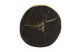Phillips Collection Home Phillips Collection Cast Petrified Wood Wall Tile, Resin