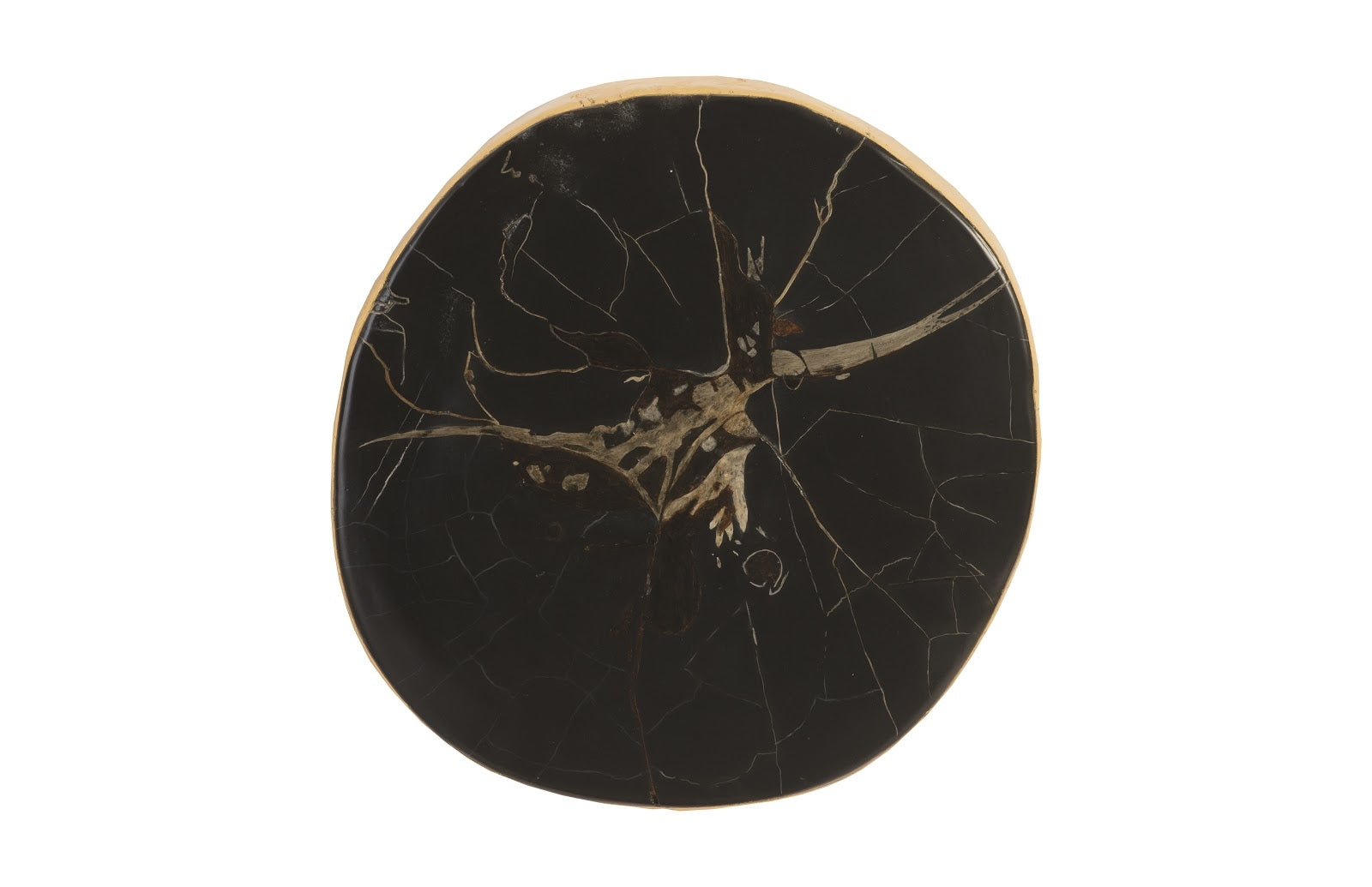 Phillips Collection Home Phillips Collection Cast Petrified Wood Wall Tile, Resin