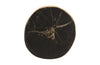 Phillips Collection Home Phillips Collection Cast Petrified Wood Wall Tile, Resin