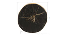 Phillips Collection Home Phillips Collection Cast Petrified Wood Wall Tile, Resin