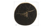 Phillips Collection Home Phillips Collection Cast Petrified Wood Wall Tile, Resin