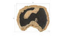 Phillips Collection Home Phillips Collection Cast Petrified Wood Wall Tile, Resin, Thin