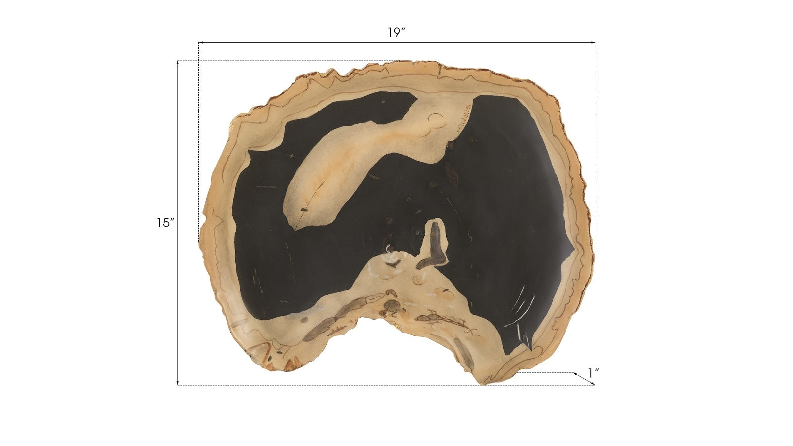 Phillips Collection Home Phillips Collection Cast Petrified Wood Wall Tile, Resin, Thin