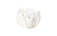 Phillips Collection Home Decor Phillips Collection Cast Root Bowl, Closed, Faux Bleached