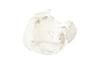 Phillips Collection Home Decor Phillips Collection Cast Root Bowl, Open, Faux Bleached