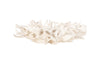 Phillips Collection Home Decor Phillips Collection Cast Root Coffee Table, Faux Bleached Finish, With 82" Glass