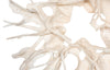 Phillips Collection Home Decor Phillips Collection Cast Root Wall Decor, Faux Bleached