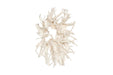 Phillips Collection Home Decor Phillips Collection Cast Root Wall Decor, Faux Bleached