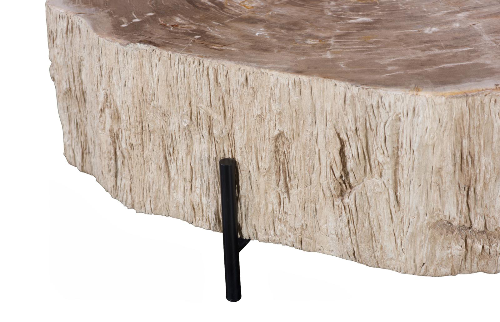 Phillips Collection Home Decor Phillips Collection Chaka Petrified Coffee Table, Cream, With Black Legs