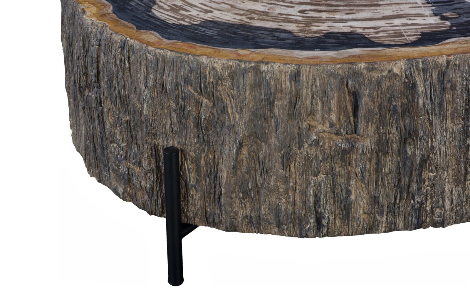 Phillips Collection Home Decor Phillips Collection Chaka Petrified Coffee Table, Mixed, With Black Legs
