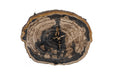 Phillips Collection Home Decor Phillips Collection Chaka Petrified Coffee Table, Mixed, With Black Legs