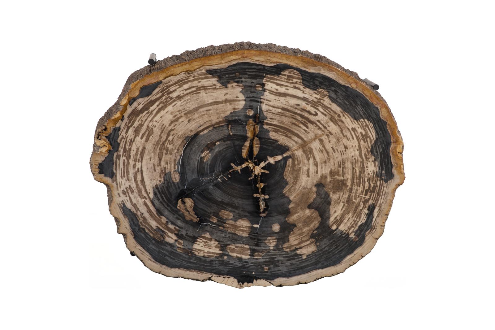 Phillips Collection Home Decor Phillips Collection Chaka Petrified Coffee Table, Mixed, With Black Legs