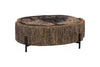 Phillips Collection Home Decor Phillips Collection Chaka Petrified Coffee Table, Mixed, With Black Legs