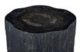 Phillips Collection Home Decor Phillips Collection Chaka Petrified Coffee Table, Rough, Black, Large