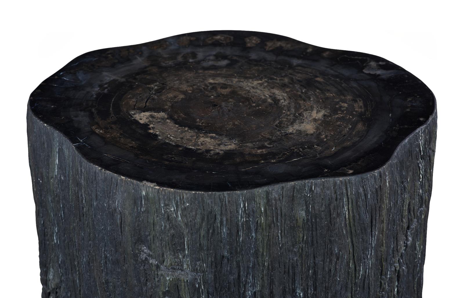 Phillips Collection Home Decor Phillips Collection Chaka Petrified Coffee Table, Rough, Black, Large