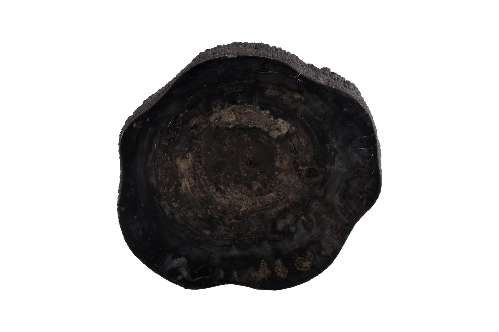 Phillips Collection Home Decor Phillips Collection Chaka Petrified Coffee Table, Rough, Black, Large