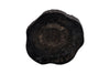 Phillips Collection Home Decor Phillips Collection Chaka Petrified Coffee Table, Rough, Black, Large