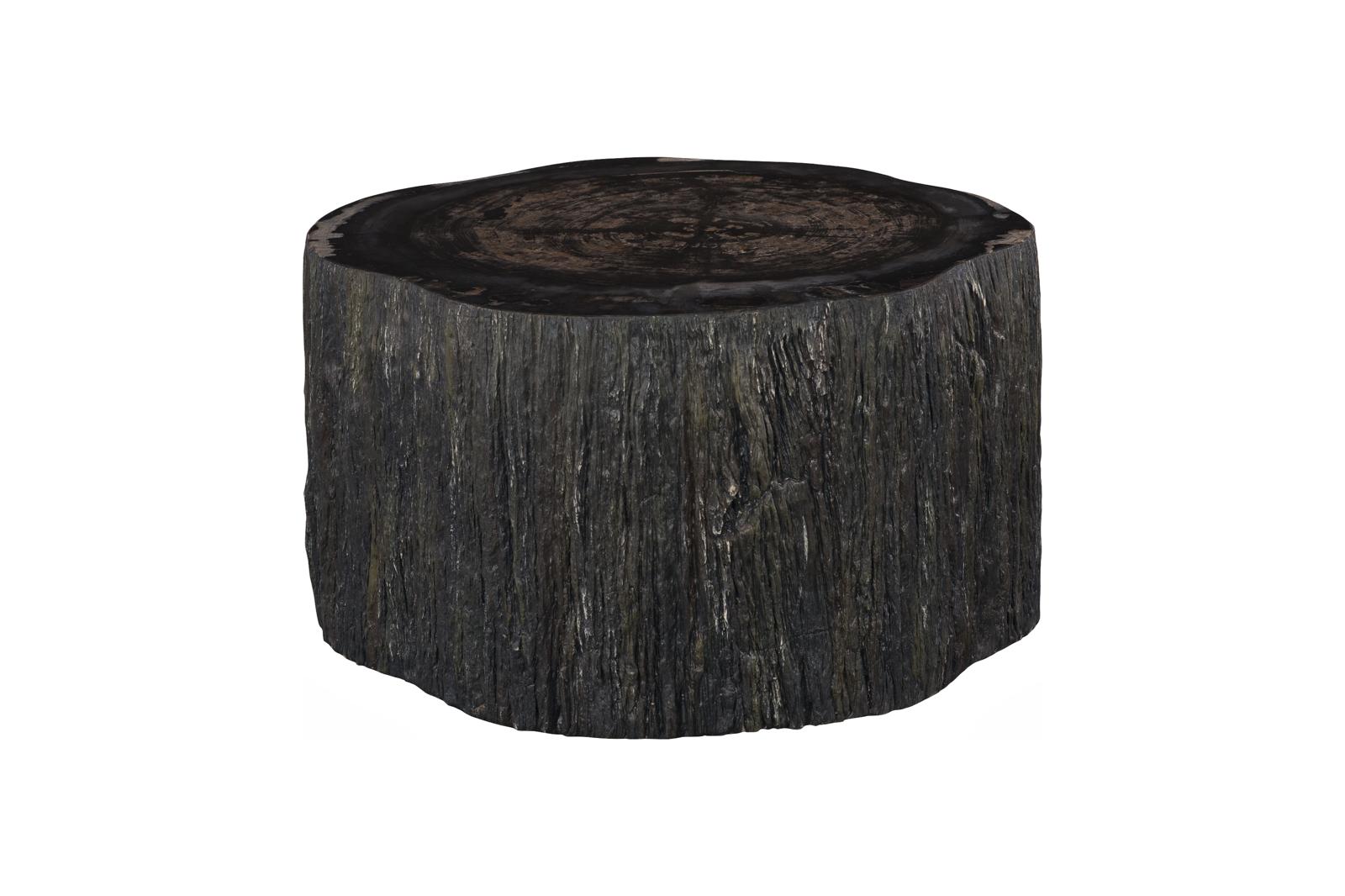 Phillips Collection Home Decor Phillips Collection Chaka Petrified Coffee Table, Rough, Black, Small