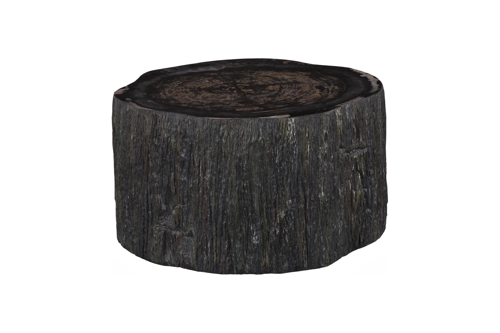 Phillips Collection Home Decor Phillips Collection Chaka Petrified Coffee Table, Rough, Black, Small