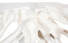 Phillips Collection Home Decor Phillips Collection Contour Cast Root Console, White Stone