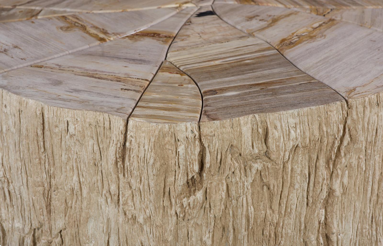 Phillips Collection Home Decor Phillips Collection Converge Petrified Coffee Table, Rough, Cream
