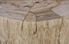 Phillips Collection Home Decor Phillips Collection Converge Petrified Coffee Table, Rough, Cream