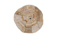 Phillips Collection Home Decor Phillips Collection Converge Petrified Coffee Table, Rough, Cream