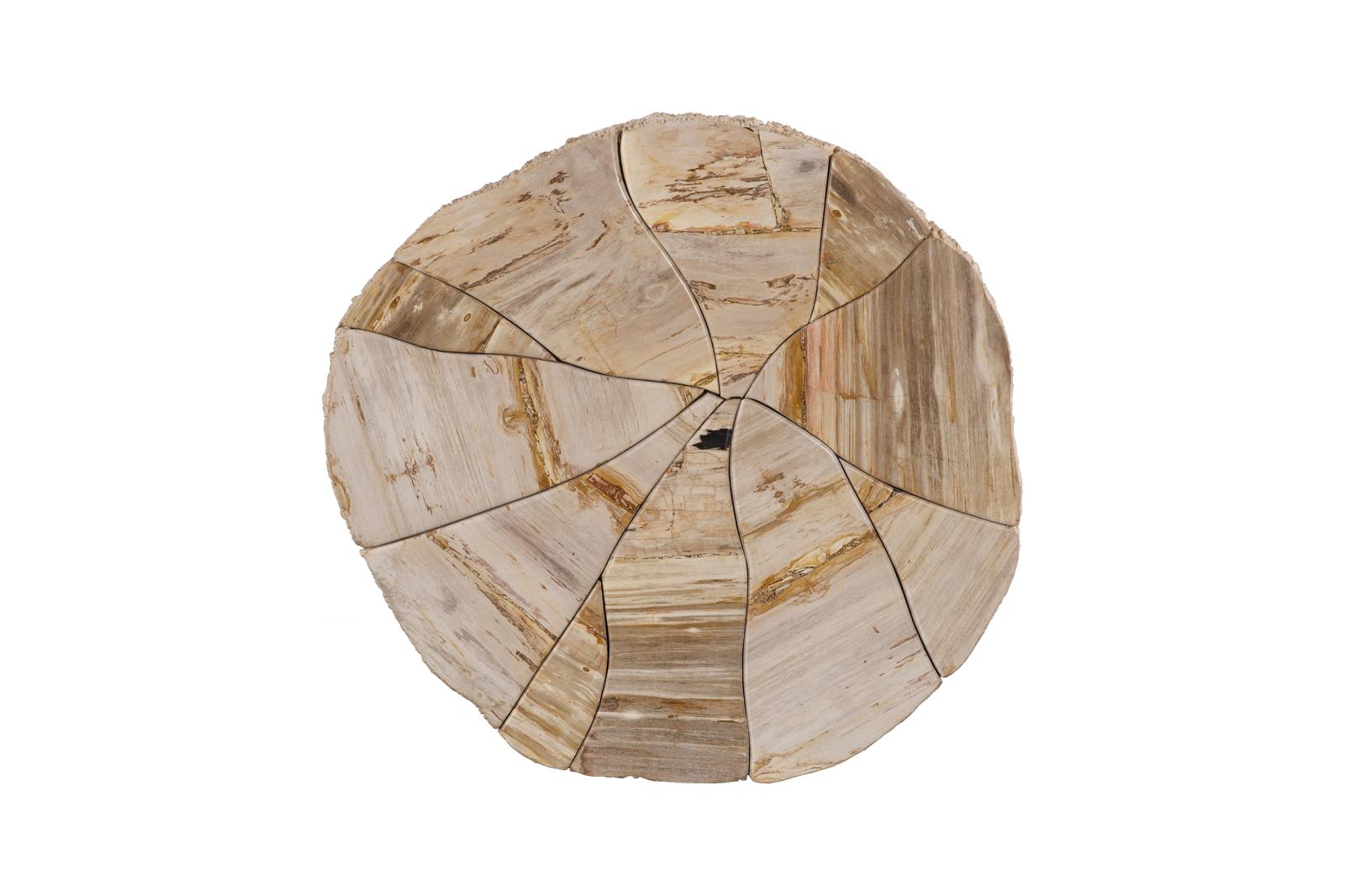 Phillips Collection Home Decor Phillips Collection Converge Petrified Coffee Table, Rough, Cream