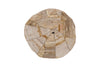 Phillips Collection Home Decor Phillips Collection Converge Petrified Coffee Table, Rough, Cream