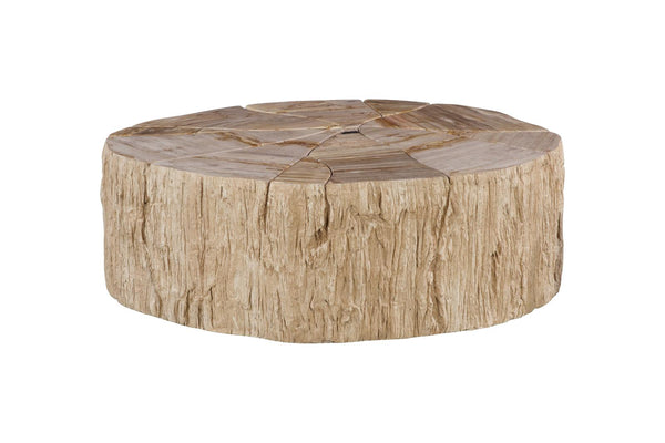 Phillips Collection Home Decor Phillips Collection Converge Petrified Coffee Table, Rough, Cream